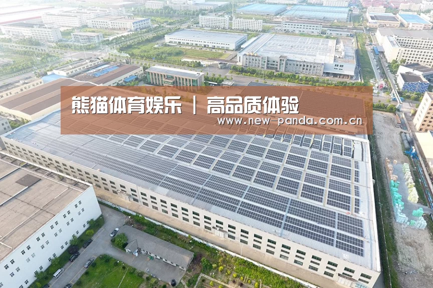 案例展示二