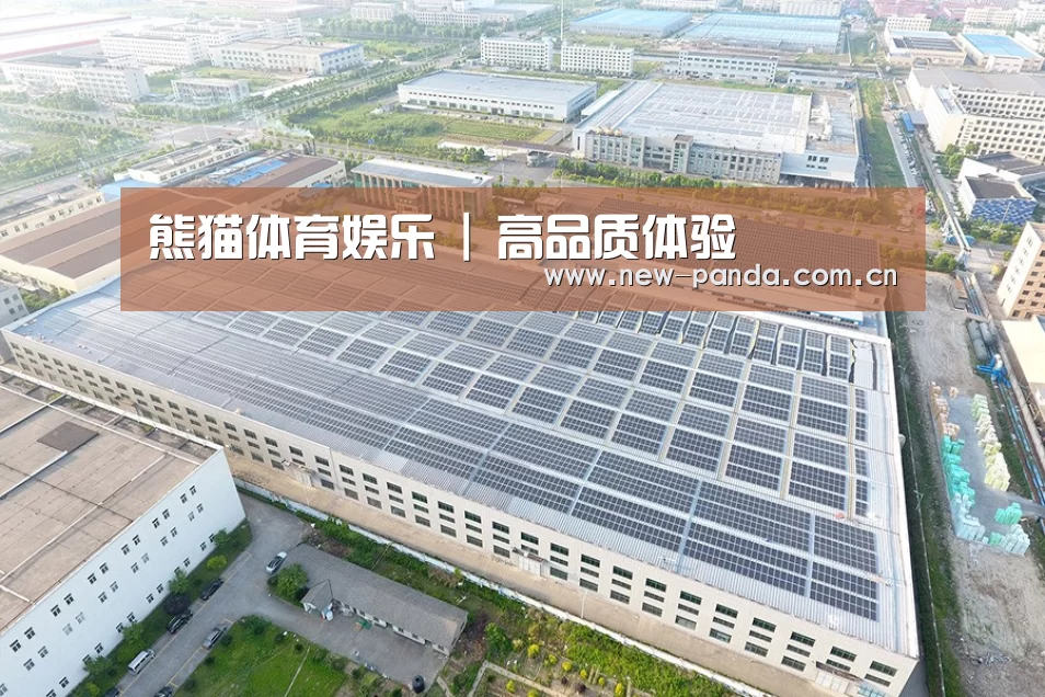 案例展示一