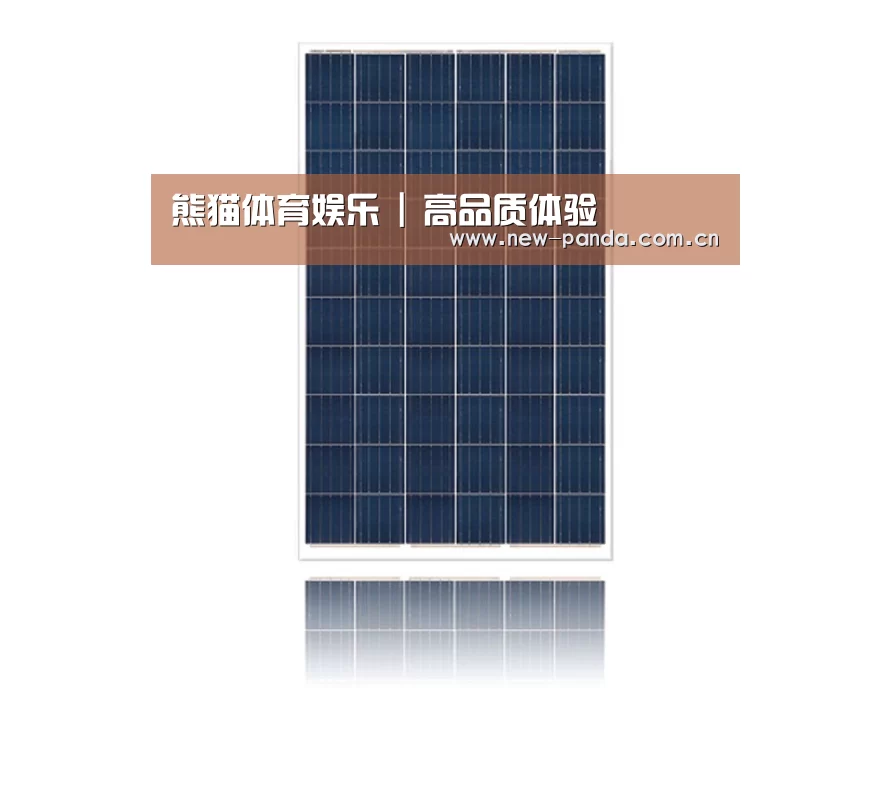 产品名称一