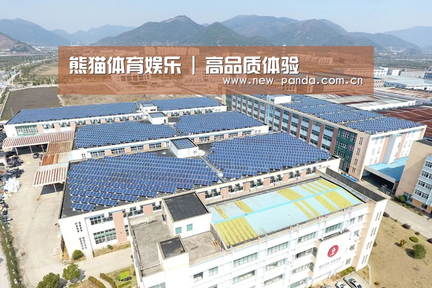 案例展示一