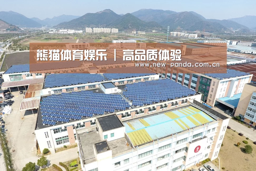 案例展示四