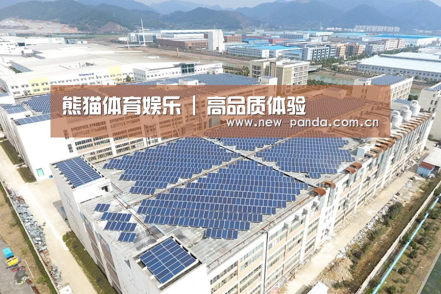 案例展示二