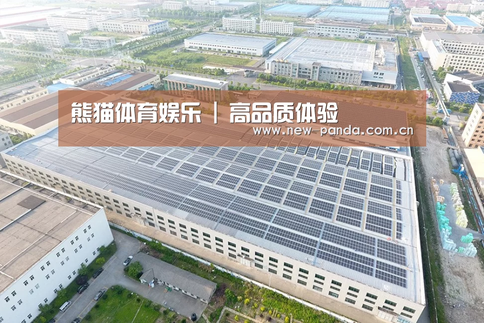 案例展示三