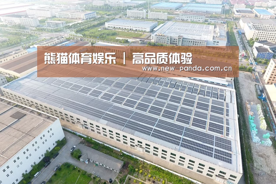 案例展示二