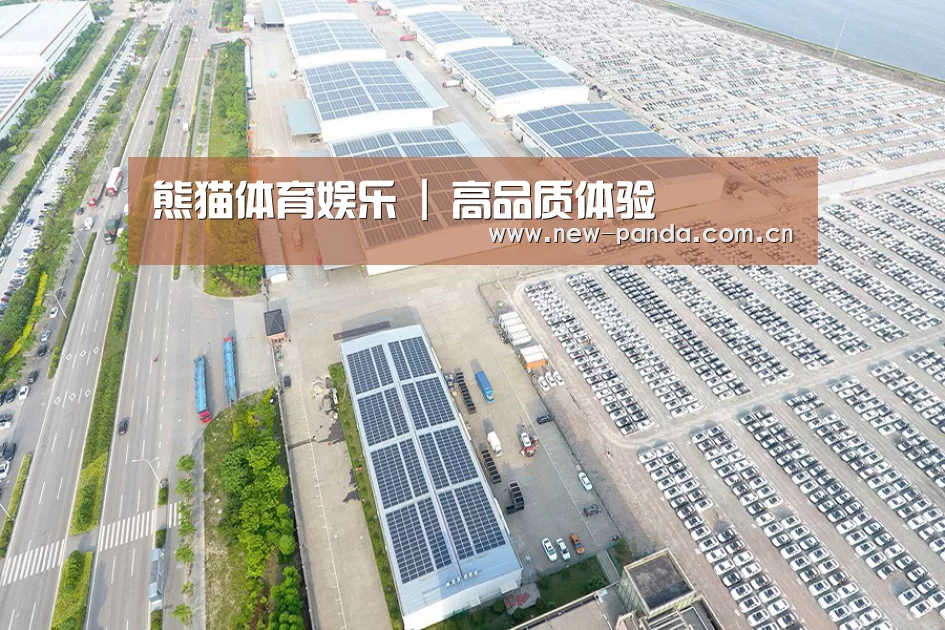 案例展示一