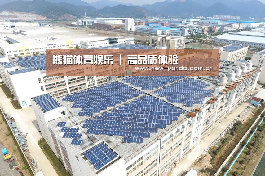 案例展示四