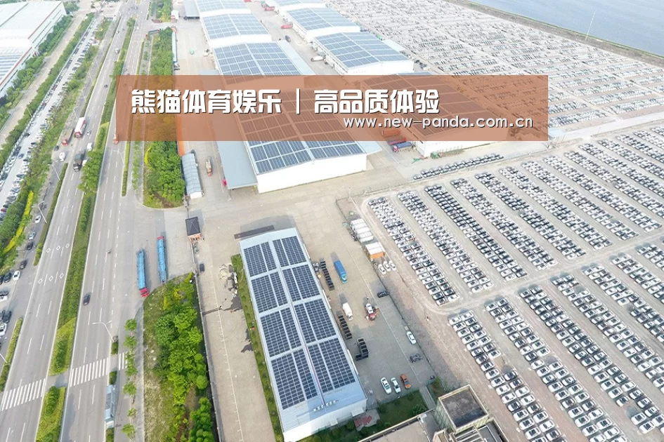 案例展示三