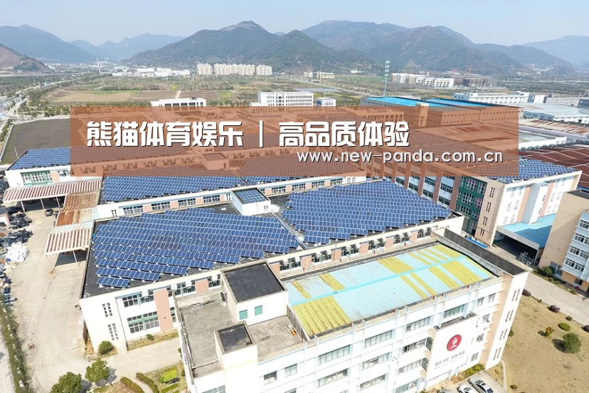 案例展示三
