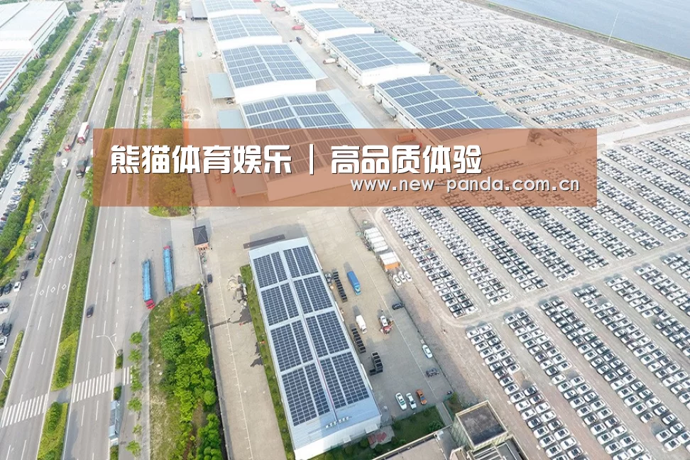 案例展示二