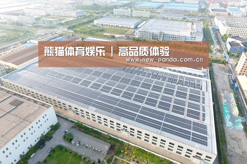 案例展示四