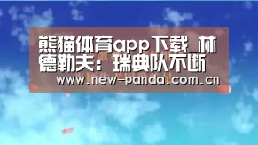 熊猫体育app下载_林德勒夫:瑞典队不断都置信本人可以晋级(图3) 熊猫体育客户端