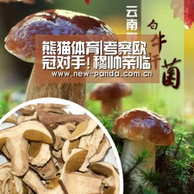 熊猫体育app