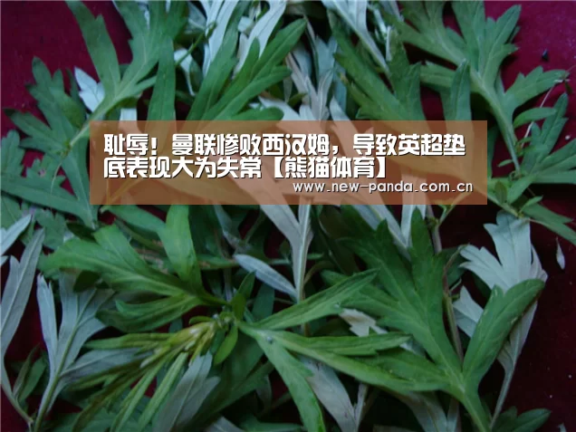 耻辱!曼联惨败西汉姆,导致英超垫底表现大为失常【熊猫体育】(图1) 熊猫体育客户端