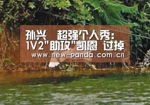 熊猫体育